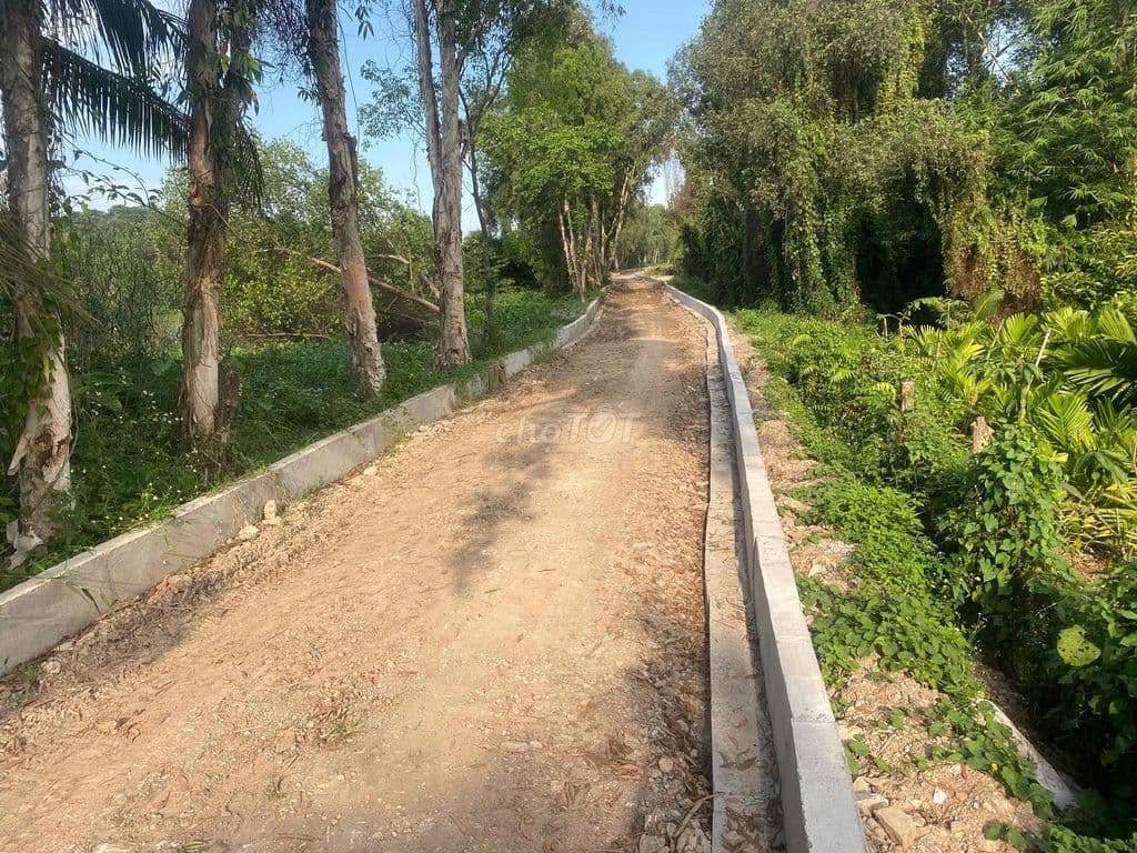 chính chủ gửi lo đất mặt tiền xông (13.5x82 ) giá 15 tỷ - Ảnh 2