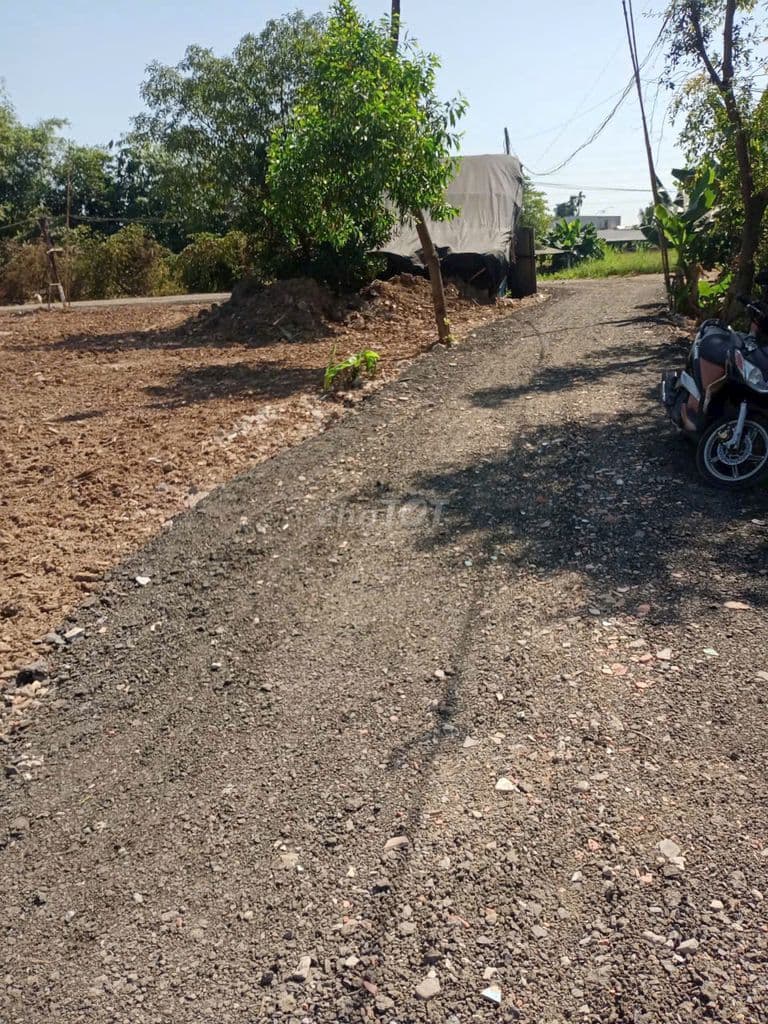 đất vườn sổ riêng 10x50m đất trồng cây đường xe tải, Thới tam thôn
