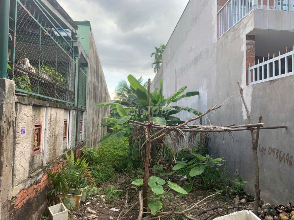 ĐẤT THỔ CƯ 4 X 25 HẺM 808 QL13, p. HBP. GẦN NGÃ TƯ BÌNH PHƯỚC - Ảnh 2