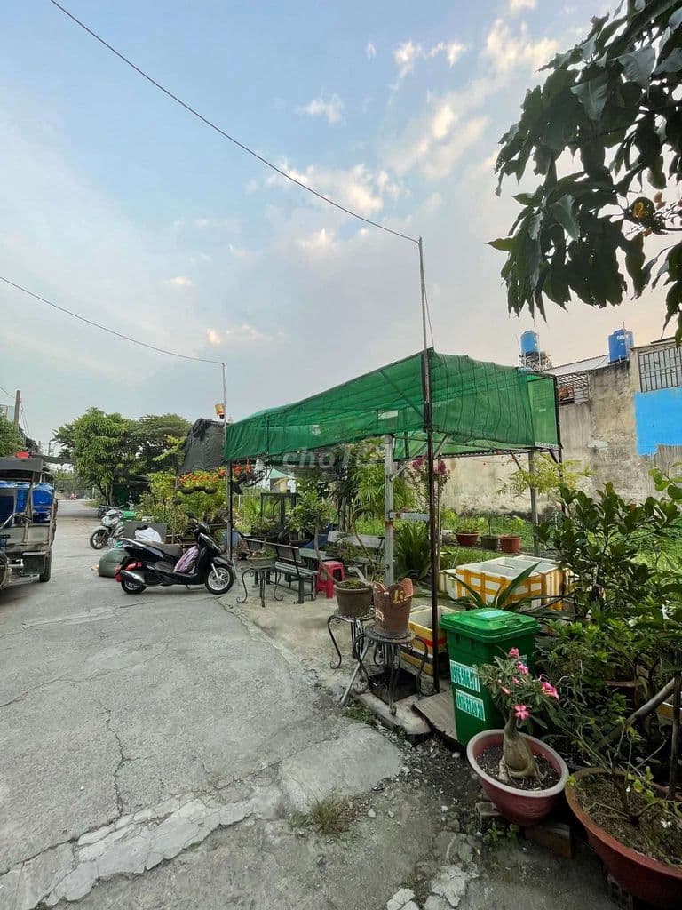 ĐẤT FUN THỔ CƯ 16X15 HẺM TRC ĐẤT 6M CHỈ 1/ ĐƯỜNG SƯ ĐOÀN 9, Vla - Ảnh 3