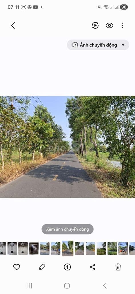 Bán 4.181m2 đất trồng cây lâu năm trên đường cá lăng, phú hòađông 5 tỷ - Ảnh 2