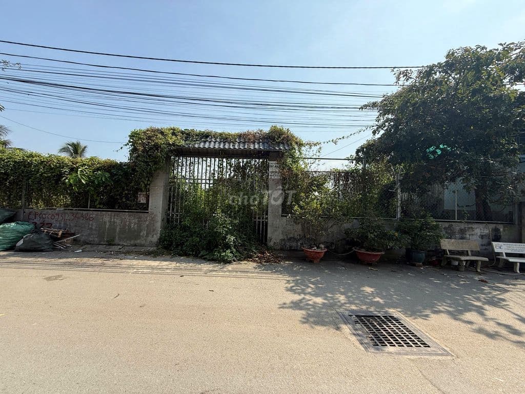 Bán 1132m2 đất vườn đường lò lu Phường Trường Thạnh , giá chỉ 24 tr/m2