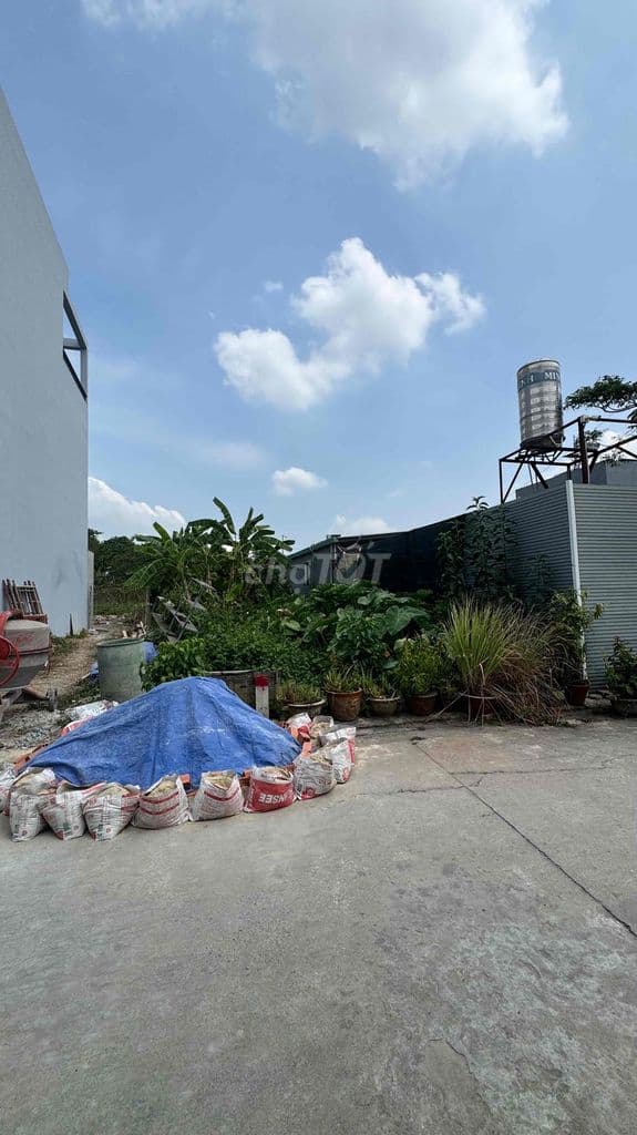 Cần bán gấp lô đất sổ Hồng riêng hẻm xe hơi diện tích 60 m full thổ cu - Ảnh 2