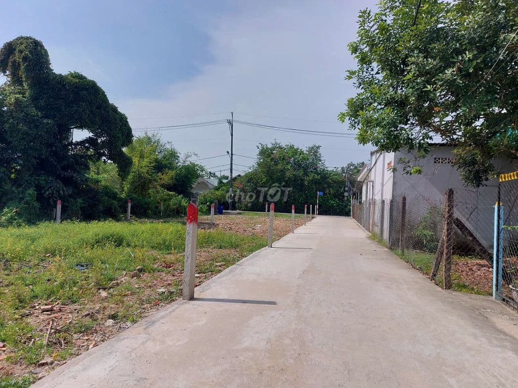 SOS bán 275m2 đất full TC ,X.Tân Phú Trung, Củ Chi.Giá 652triệu - Ảnh 3