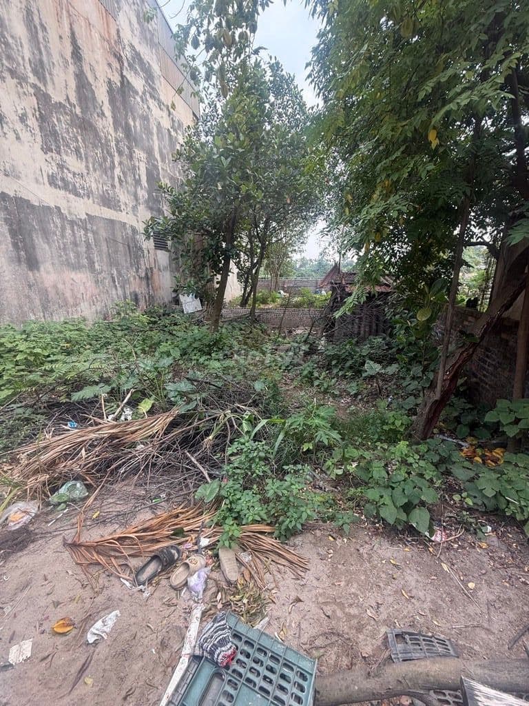 Bán đất OTO tránh, đường Cổ Loa,80m, mặt tiền 8m. Đường thông - Ảnh 2