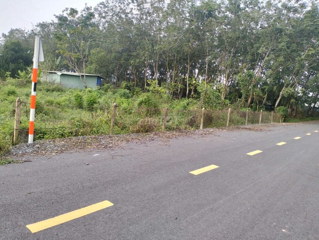 Mặt tiền Đường 492, tổng 690m2 có 300m2 thổ, Xã Nhuận Đức (mới) - Ảnh 3