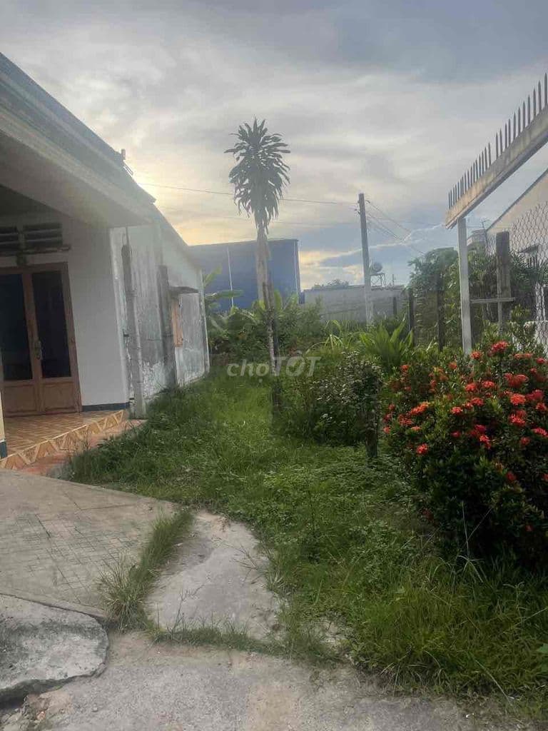 Đất Tân Thạnh Đông cũ chính chủ