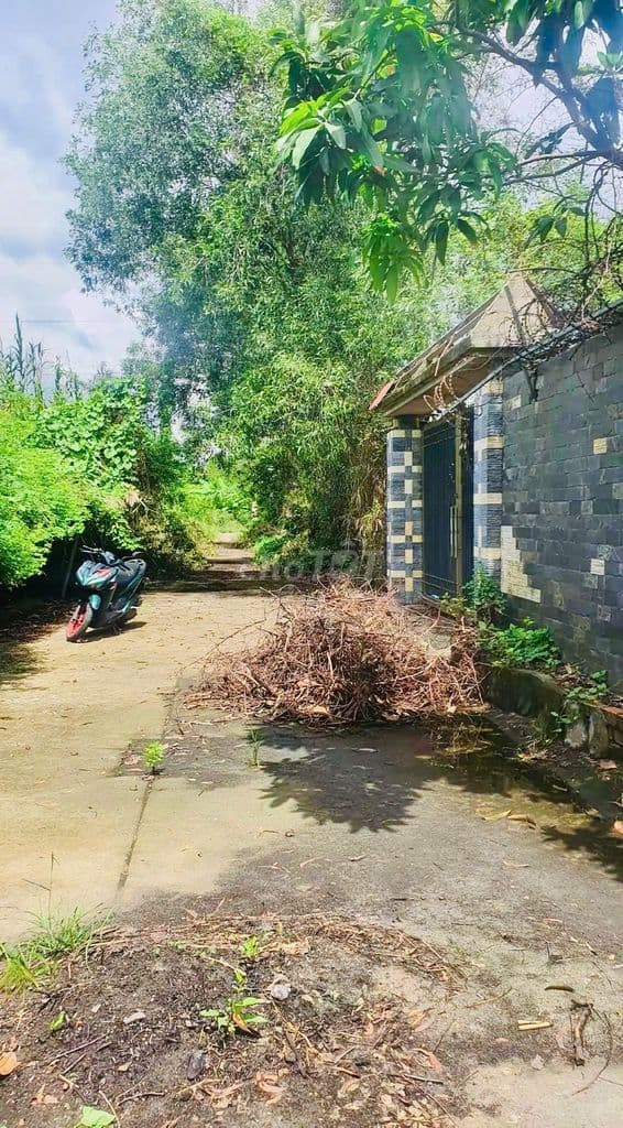 Bán Gấp 540m2 đất cây lâu năm hẻm Lê Văn Lương, Nhơn Đức, NBe - Ảnh 3