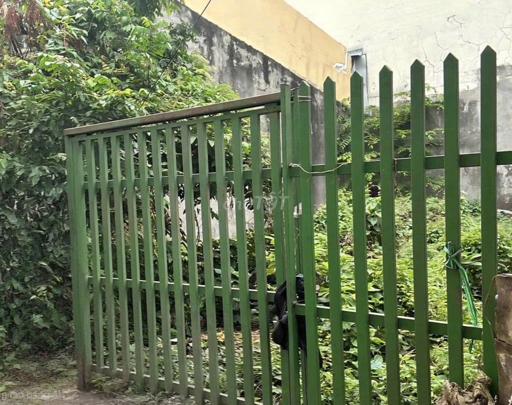 Diện tích gần 60m² mà chưa tới 3 tỷ, sát vách Vincom Lê Văn Việt 📉🚨
