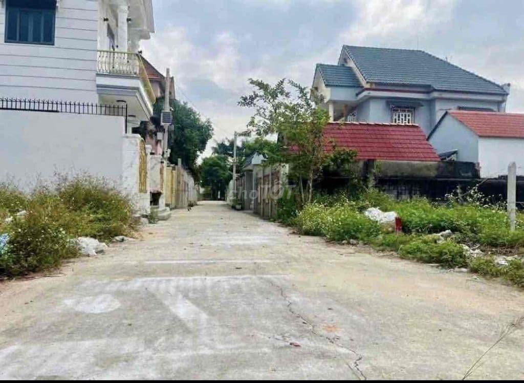 Bán Đất Thổ Cư - Ảnh 3