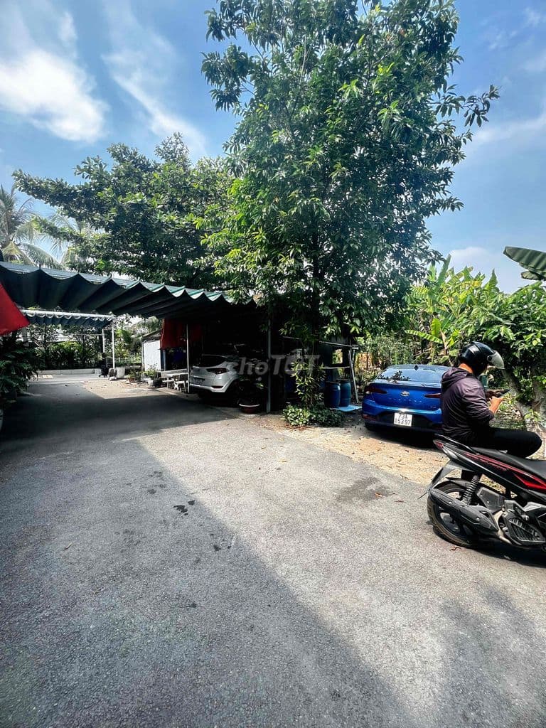 BÁN GẤP. NGANG 38M x 24,5M FULL THỔ, P LONG TRƯỜNG - Ảnh 3