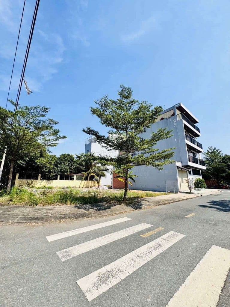 Bán nền đất 6×16,4m(98,3m2) Sổ hồng riêng mặt tiền KDC Phú Lợi P7 Q8 - Ảnh 2