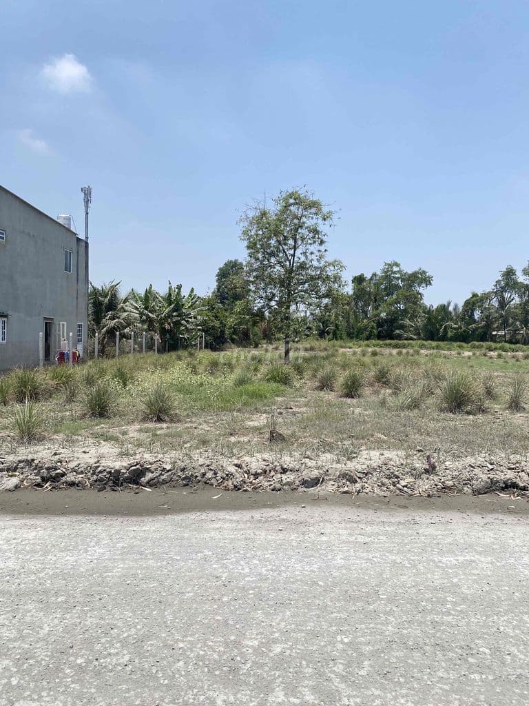 Chủ cần bán 1260m2 thổ cư giá 25ti MT Bà Tỵ đang làm rất tiềm năng - Ảnh 3