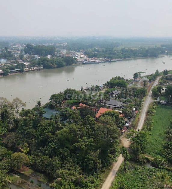 MT đường NGUYỄN THỊ LÈN, gần giáp Sông Sài Gòn, xã Trung An. - Ảnh 3