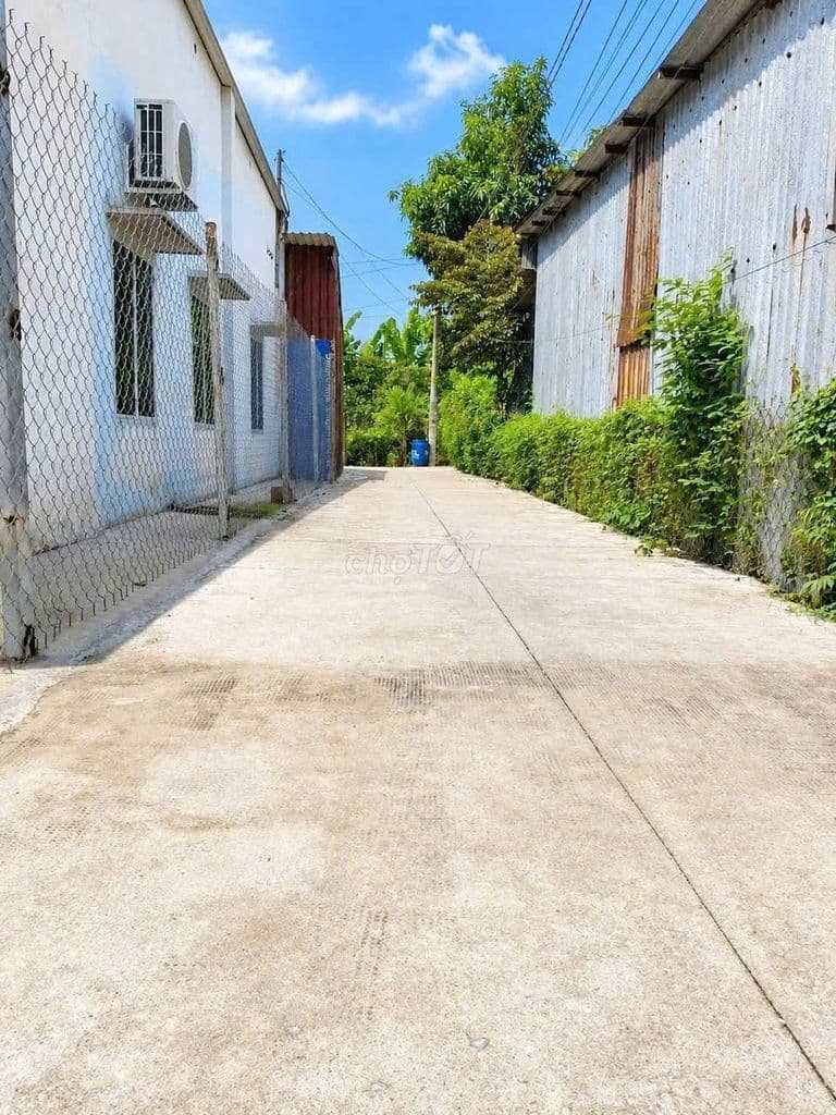 Đấ𝐭 Hóc Môn, sát Vinhomes, 𝟔𝐱𝟏𝟕𝐦 𝐧ở 𝐡ậ𝐮 𝐡ẻ𝐦 ô 𝐭ô chỉ 𝟐.𝟗𝟓 𝐭ỷ - Ảnh 3