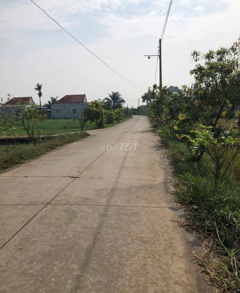 Chủ nhờ bán lô đất Đ Ninh Tốn xã Tân An Hội , 1 tỷ 2 , SHR , DT 125M2 - Ảnh 2