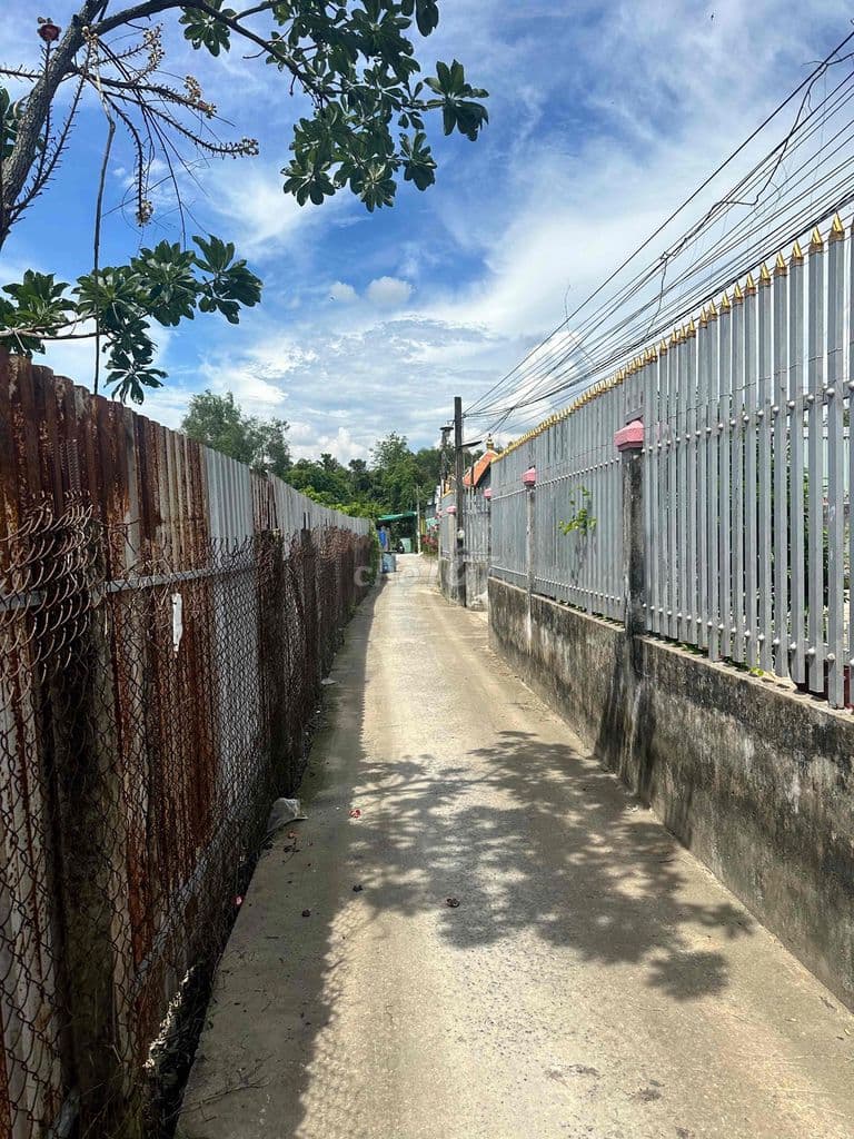 Bán đất vườn - Ảnh 2