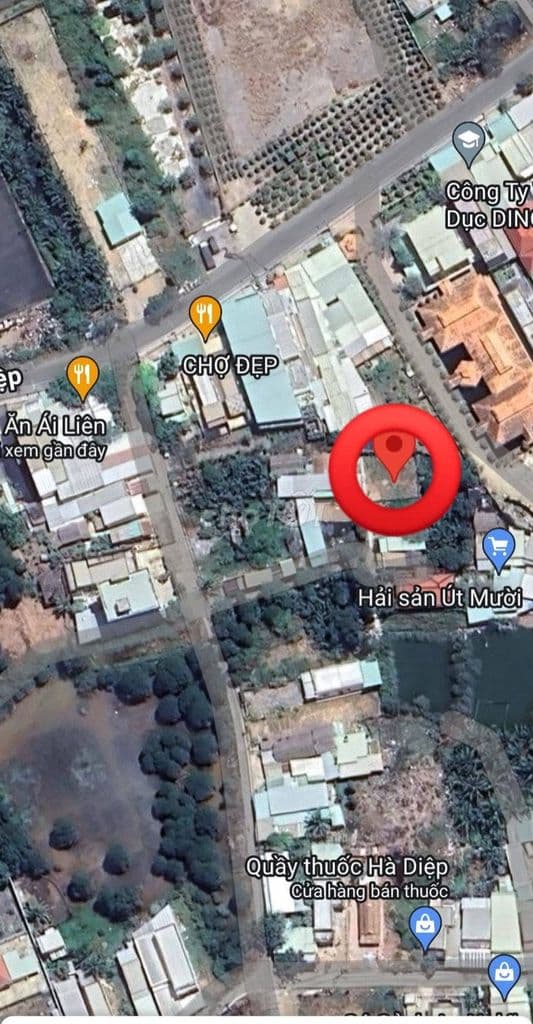 Bán đất nền Cần Giờ - An Nghĩa chính chủ - Ảnh 3