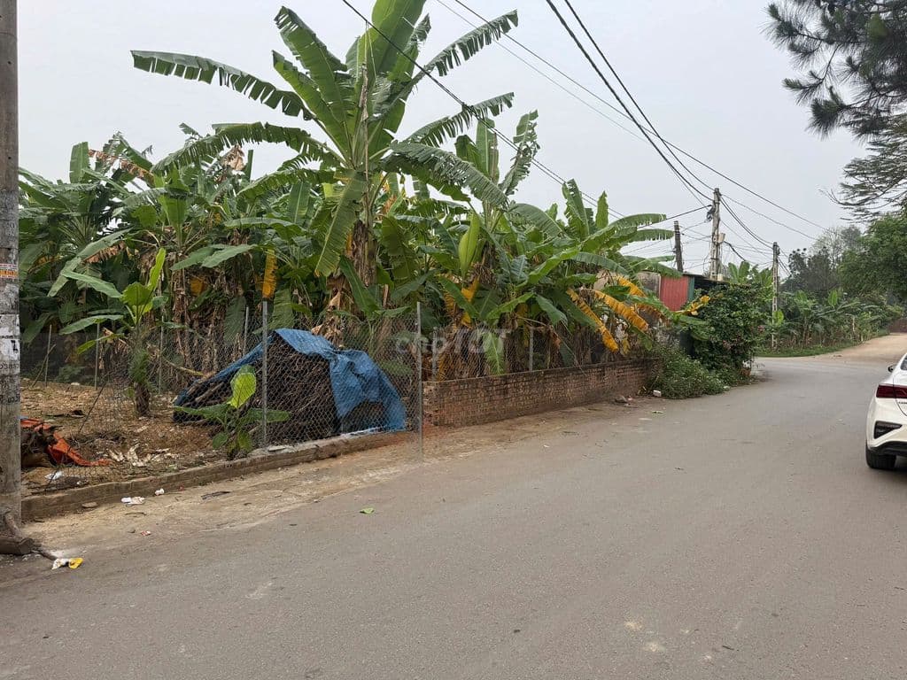 BÁNH NHANH LÔ ĐẤT THỔ CƯ - Ảnh 3