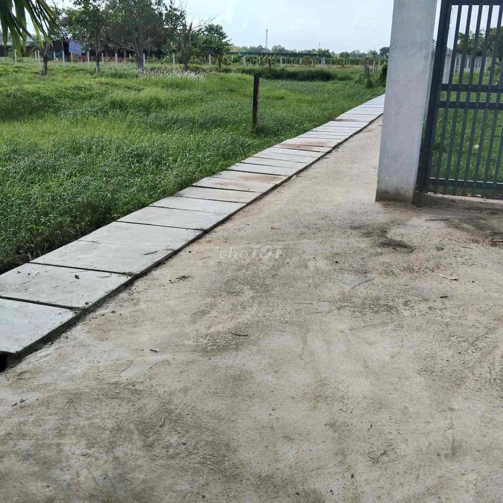 Cần bán gấp đất nền Củ Chi xã Thái Mỹ giá 900tr - Ảnh 2