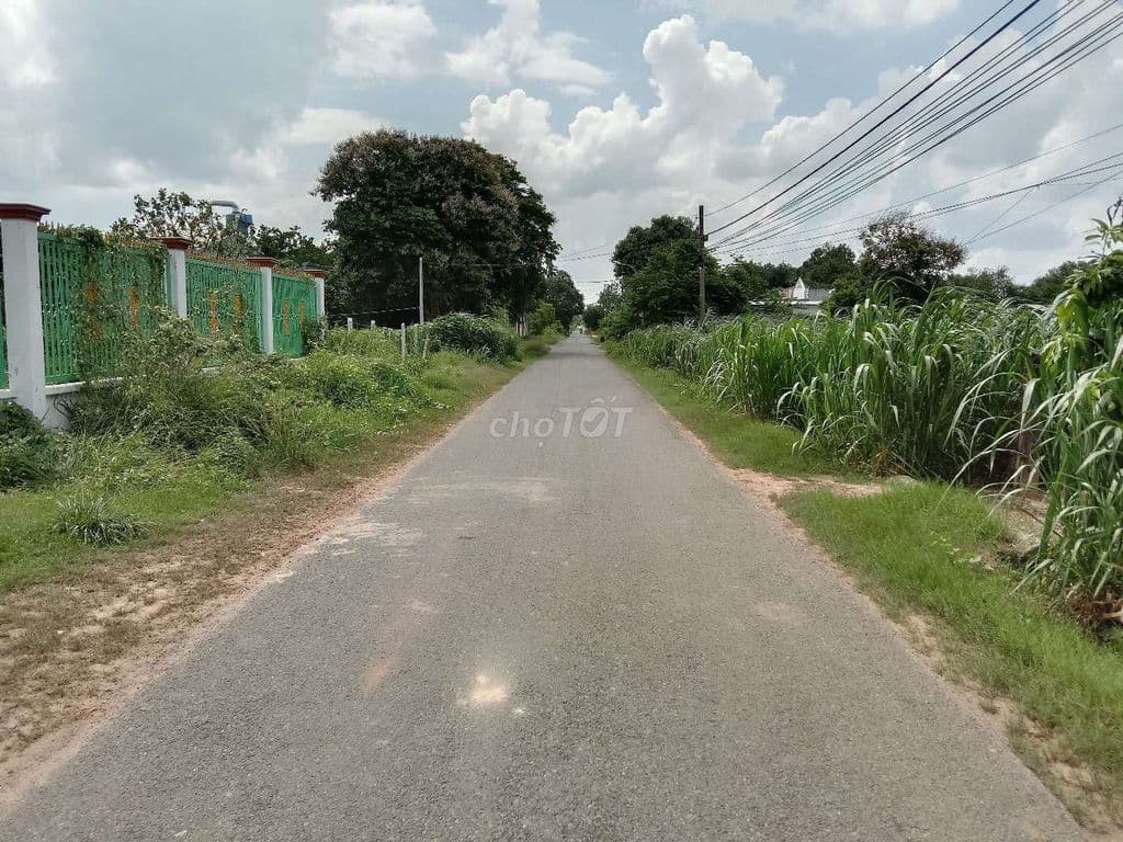 BÁN ĐẤT THỔ CƯ MẶT TIỀN ĐƯỜNG 792 AN PHÚ CỦ CHI - Ảnh 3