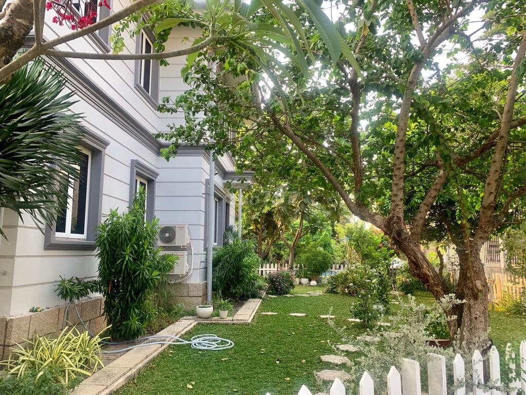 🛑 Biệt thự vườn 260m2 hướng Đông Nam sổ hồng, sát Nguyễn Khuyến, Emasi - Ảnh 2