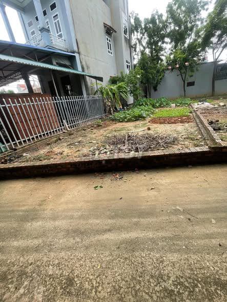 bán đất 90m2 thôn đoài-tân minh giá 1ty650 - Ảnh 2