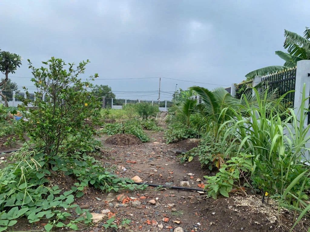 Bán 2.000m2 có 1.350 thổ, MT Lương Ngang, Tân Nhựt, Bình Chánh - Ảnh 2
