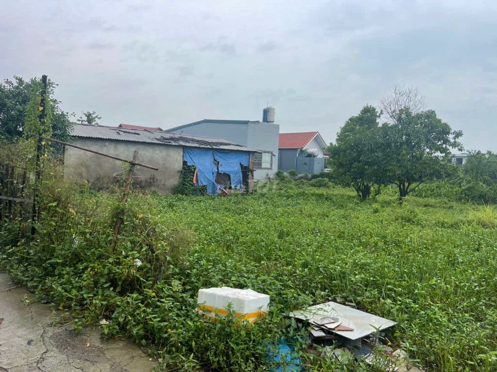 Bán đất chính chủ tại ngõ 18 thôn Siêu Quần xã Tả Thanh Oai, Thanh Trì - Ảnh 3