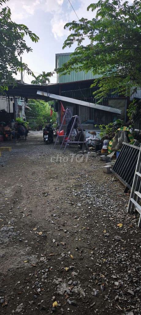 sổ riêng đất trồng cây lâu năm - Ảnh 3