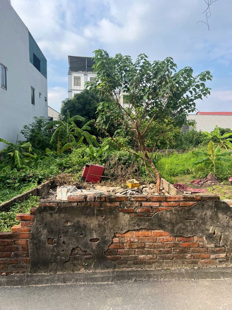 BÁN ĐẤT KIÊU KỴ – GIA LÂM – VỊ TRÍ ĐẸP, NGÕ THÔNG, Ô TÔ VÀO TẬN NƠI - Ảnh 2