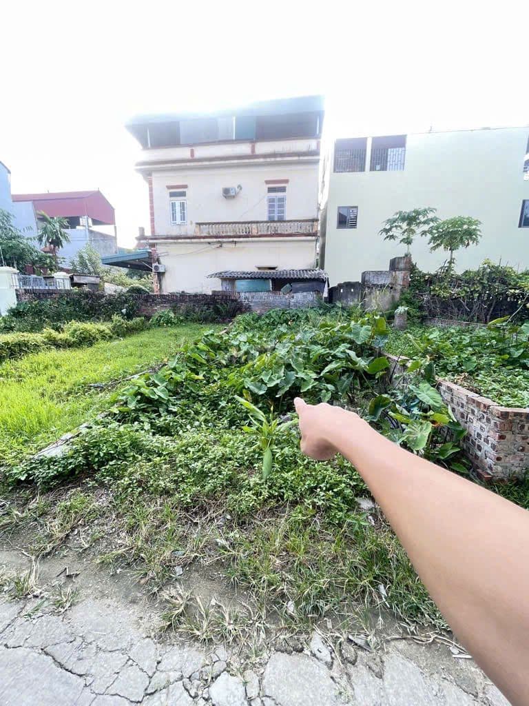 🎯 🎯Bán 40m2 Đất Vàng Bến Trung Bắc Hồng, Ngõ Thông Ô Tô – Hiếm có