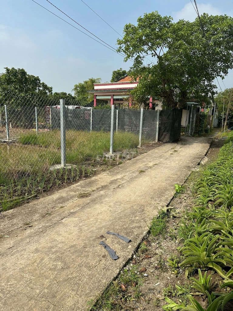 Bán đất phù hợp làm nhà vườn 2300m có 600m thổ cư. - Ảnh 3