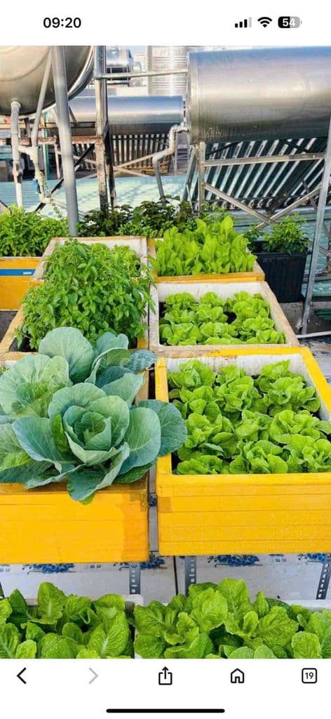 siêu phẩm nhà 4tangx45m nhân trạch phú lương, oto, kd nhỉnh 6ty