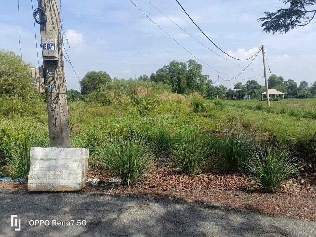 Bán đất dân cư mới 1842m2 xã Hưng Long gần Làng Đại Học giá 9ti - Ảnh 3