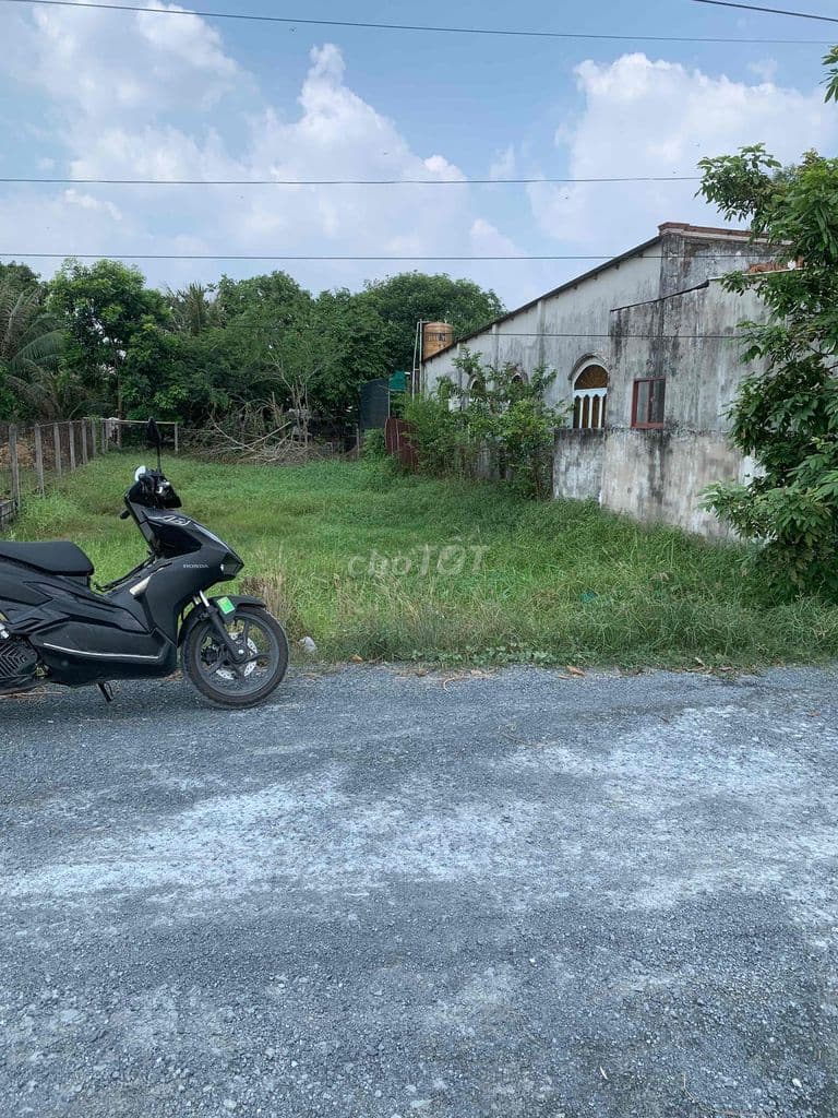 bán đất mặt tiền hẻm đường bến than xã bình mỹ (mới) tphcm - Ảnh 3