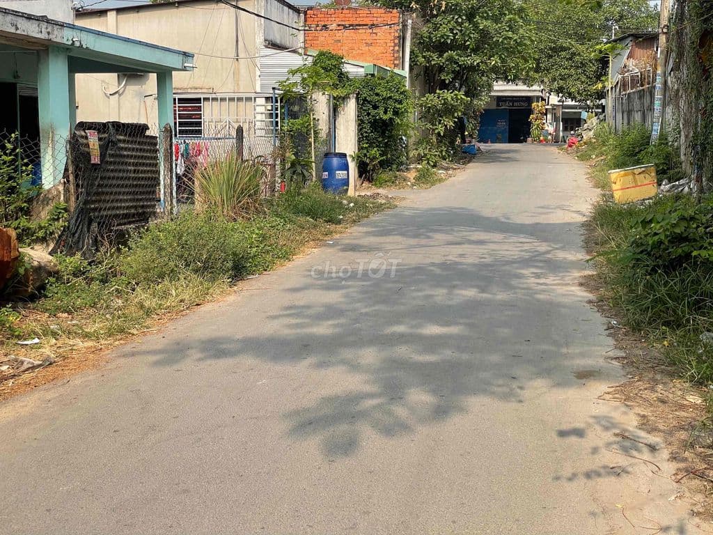 bán đất thổ cư Tân thạnh đông củ chi - Ảnh 2