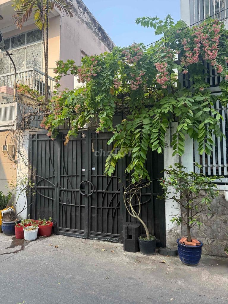 MUA NHÀ TẶNG GIÀN HOA TRƯỚC CỔNG