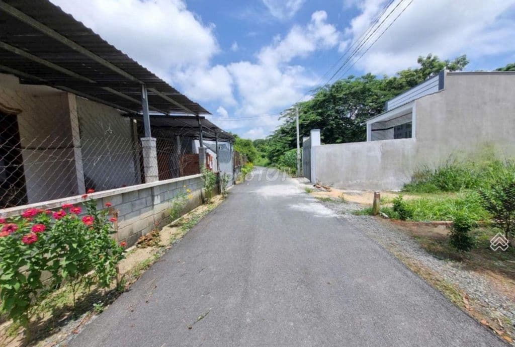 Bán lô đất 100m2 Đường Suối Lội xã Tân Thông Hội Củ Chi - Ảnh 3