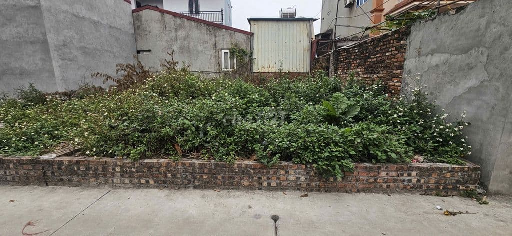 ❤️🔥Hoa Hậu 56m2 Đức Hậu,Thanh Lâm – Nhỏ tiền - Trục Làng Ô Tô Tránh