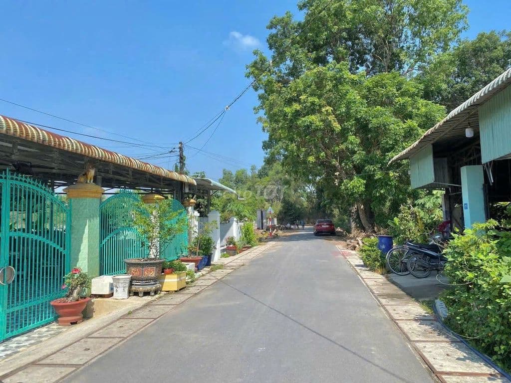 BÁN ĐẤT FULL THỔ CƯ - MẶT TIỀN NHỰA CỦ CHI - Ảnh 3