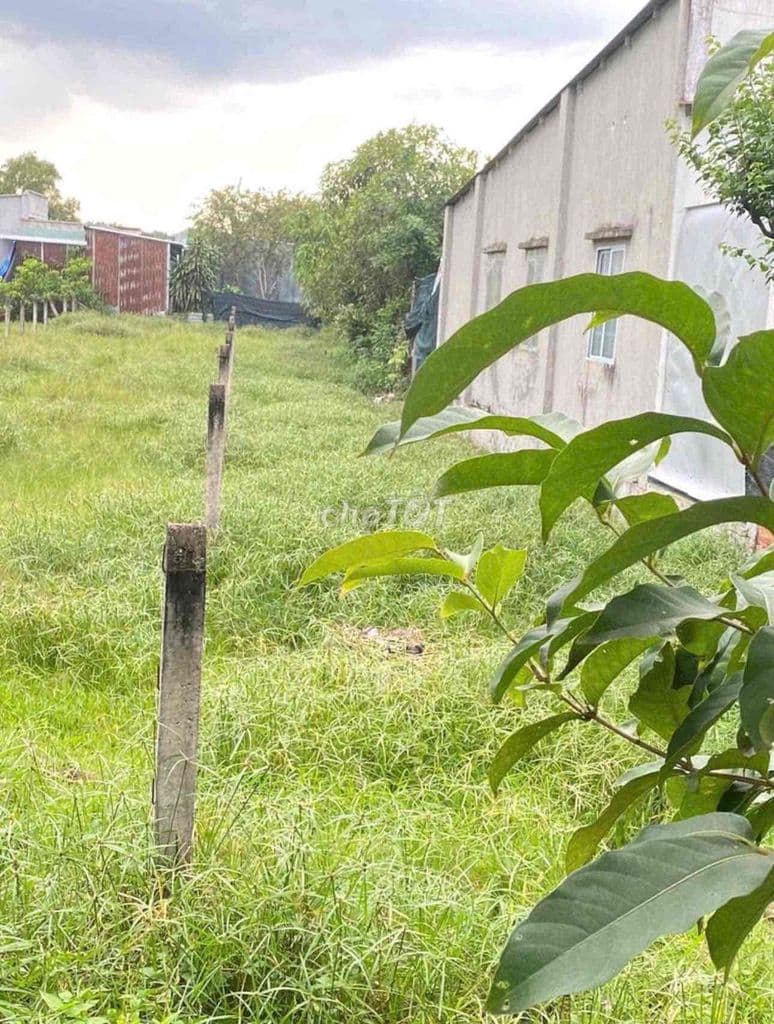 Cần bán đất Phước Hiệp Củ Chi SHR, thổ cư, kế bên QL22