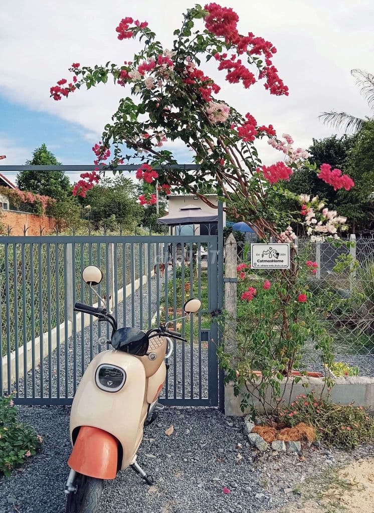 Đất thổ cư - Tặng nhà vườn