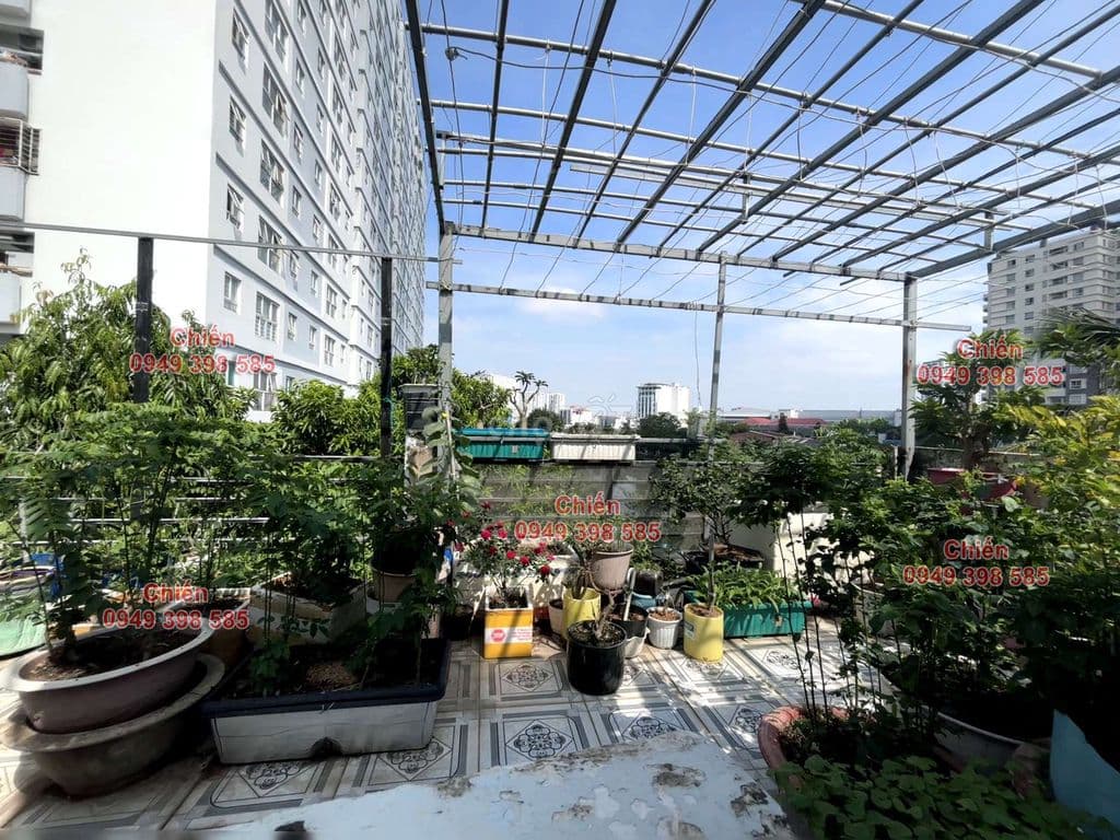 Bán nhà khu chợ vải phú thọ hòa - Ảnh 3