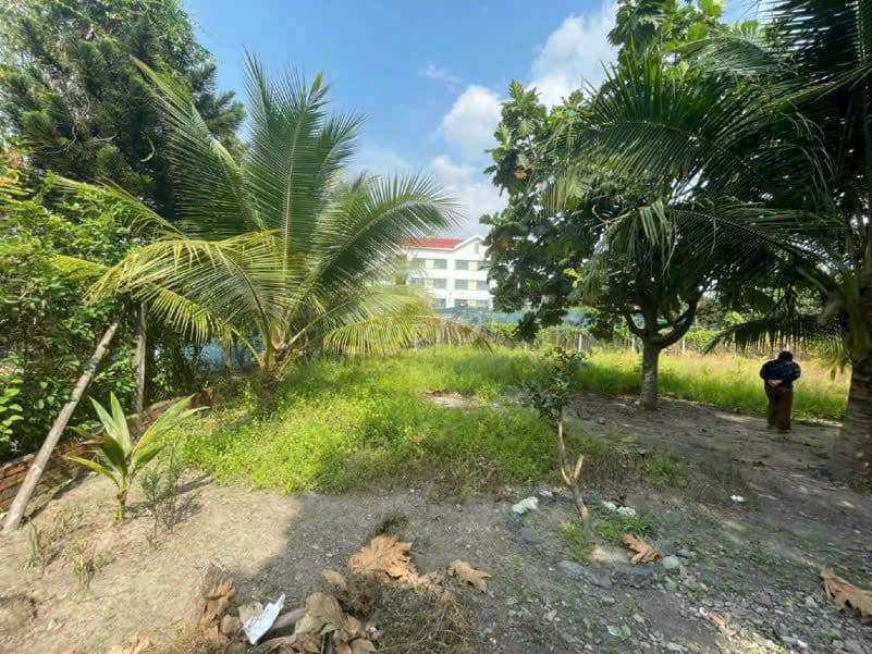 BÁN ĐẤT VÀ NHÀ CẤP 4 VỊ TRÍ ĐẸP, NGAY TRUNG TÂM THỊ TRẤN CỦ CHI - Ảnh 3
