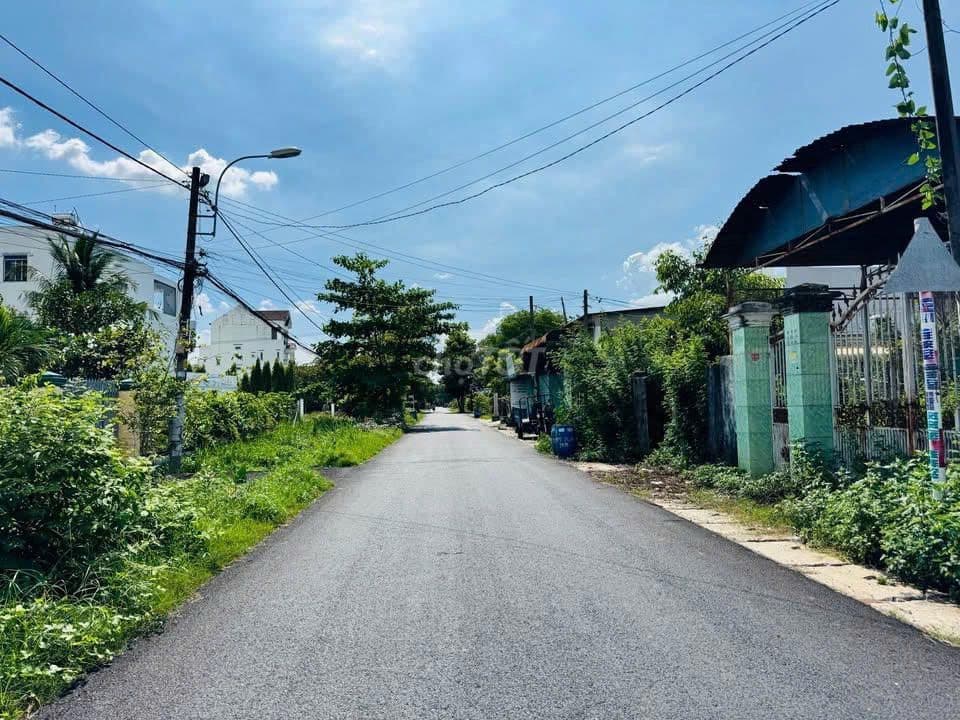 Lô Đất Giá Rẻ 125m2 Liêu Bình Hương, Củ Chi Cần Bán - Ảnh 3