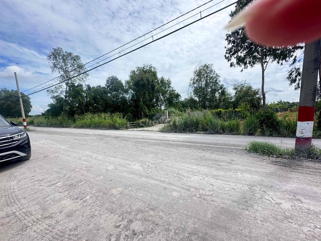 bán đất vườn đường bà tỵ tân nhựt Bình Chánh - Ảnh 3