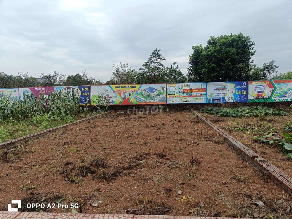 Hòa Lạc "nóng" quy hoạch: Lô góc 100m2 cực đẹp, đón sóng di dời ĐH. - Ảnh 2