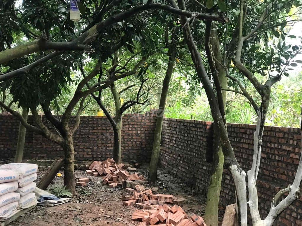 Chính chủ - Bán nhà tại Hoài Đức - Ảnh 3