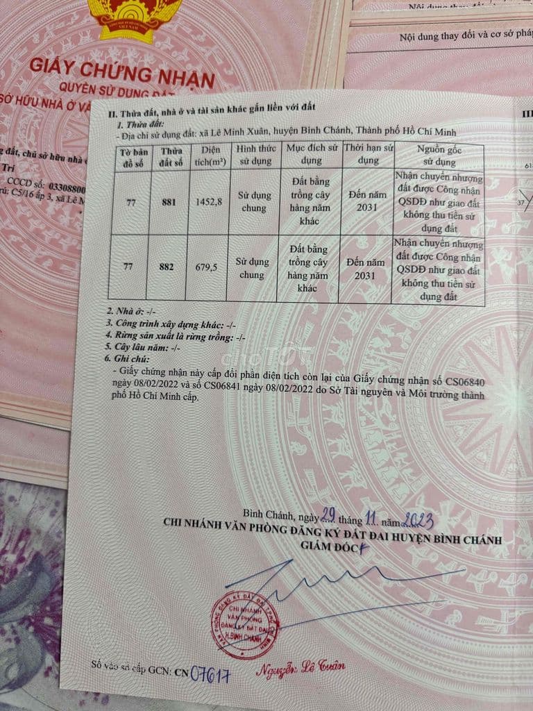 Bán đất mặt tiền vành đai 3-tphcm - Ảnh 3